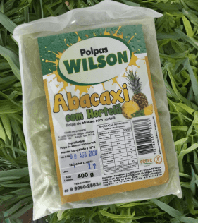 POLPA WILSON DE ACEROLA  400G