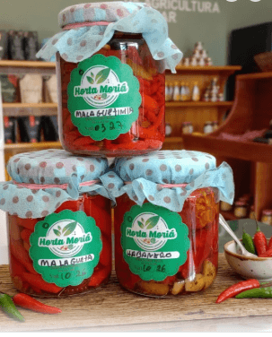 CONSERVAS DE PIMENTAS DIVERSAS HORTA MORIÁ 250G
