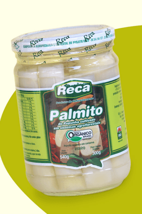 PALMITO DE PUPUNHA RECA EM CONSERVA INTEIRO 540G