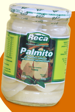 PALMITO DE PUPUNHA RECA EM  CONSERVA RODELA 540G