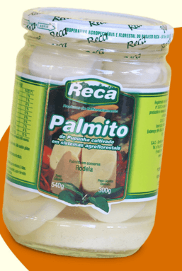 PALMITO DE PUPUNHA RECA EM  CONSERVA RODELA 540G